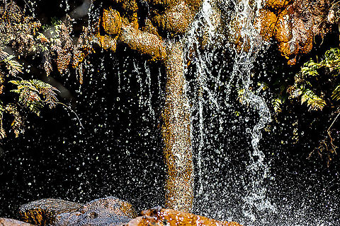Nature the survivor This tree grew between two rock ledges at Fairy Falls and it's branches moved sideways. It is now covered with minerals Australia,Geotagged,Winter