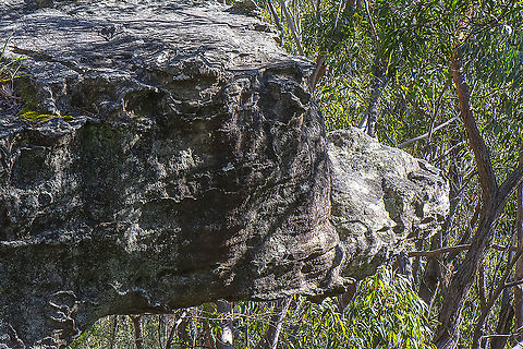 Crocodile Rock  Australia,Geotagged,Winter