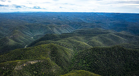 Why are they called the Blue Mountains One of the main factors of the eucalyptus tree is the oil found in the leaves, which are used for a number of benefits for humans. However, the scorching sun of Sydney affects these trees, slowly heating them up until the oil seeps out in a mist. This oil fume mist covered the area, creating a beautiful crisp bush smell within the region. Although the mist cannot be seen up close within the mountaintops, the mist can be seen reflected by the light at a distance, making the region looking like it is engulfed in a blue haze. When looking at the mountains from Sydney in particular, the oil fog covers the entire range, resulting in the mountains to look blue from afar.

https://bluemountainstoursydney.com.au/blog/why-are-blue-mountains-blue/ Australia,Geotagged,Spring