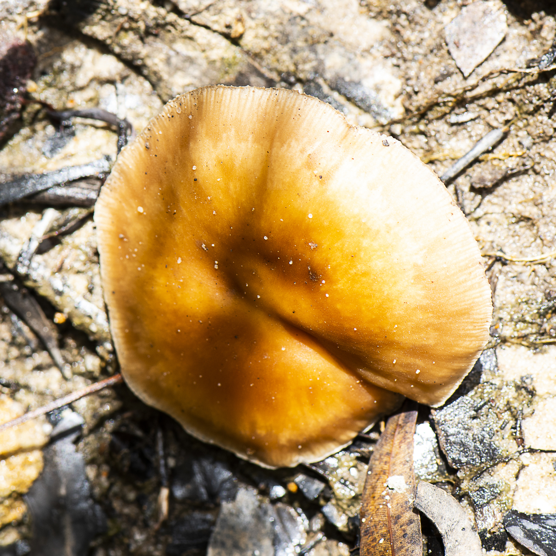 Topside  Australia,Geotagged,Summer