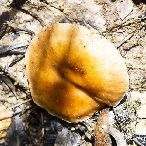 Topside  Australia,Geotagged,Summer