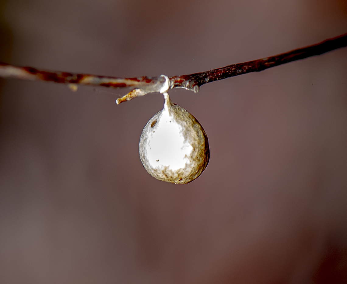 Knock Knock - who's there?  Australia,Geotagged,Summer