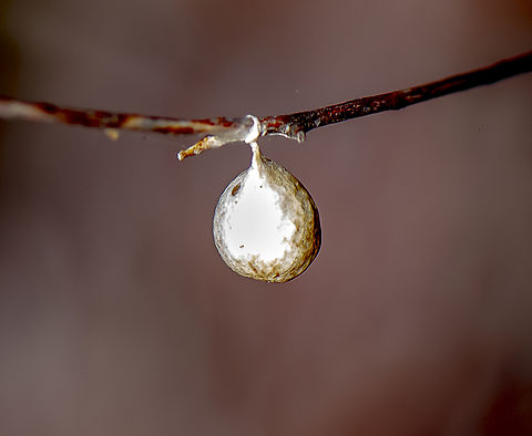 Knock Knock - who's there?  Australia,Geotagged,Summer