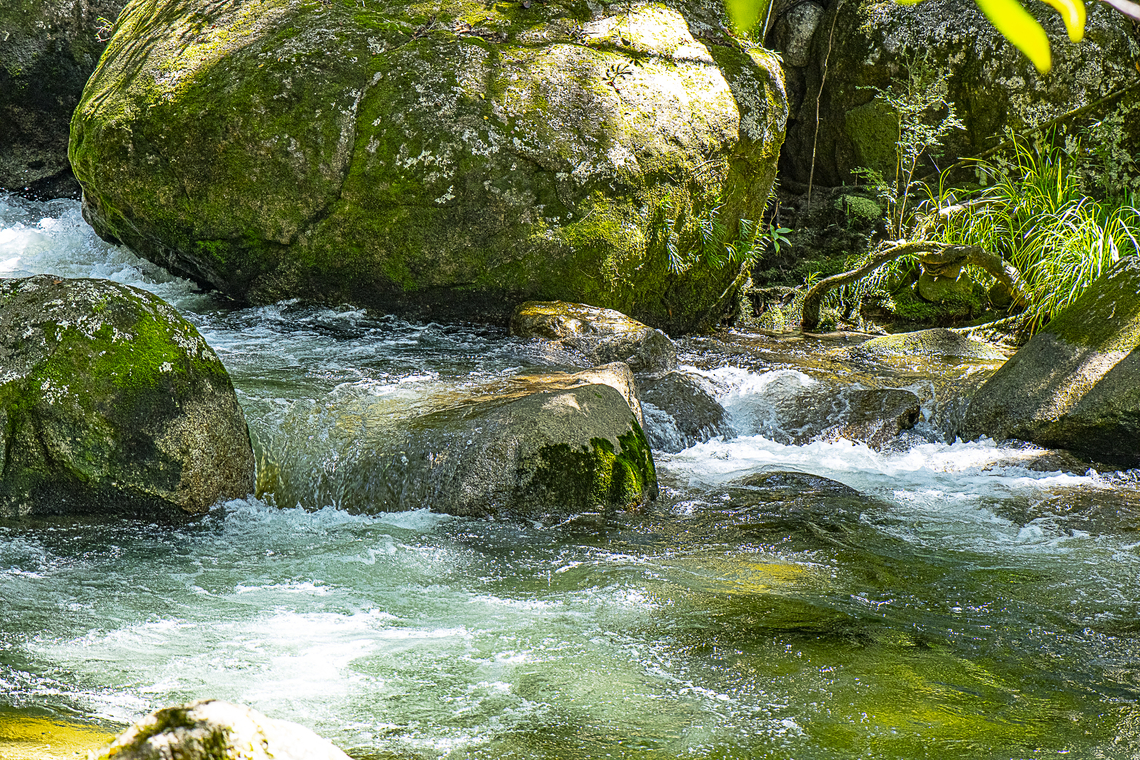 Mossman Gorge in Ku Ku (Gu Gu) Yalangi Country  Australia,Fall,Geotagged