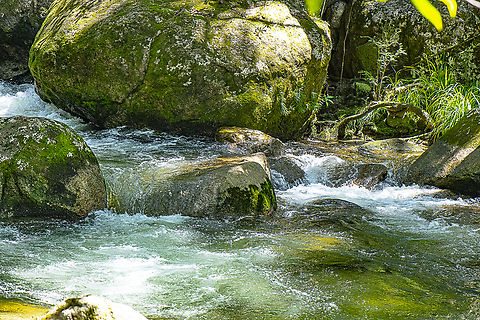 Mossman Gorge in Ku Ku (Gu Gu) Yalangi Country  Australia,Fall,Geotagged