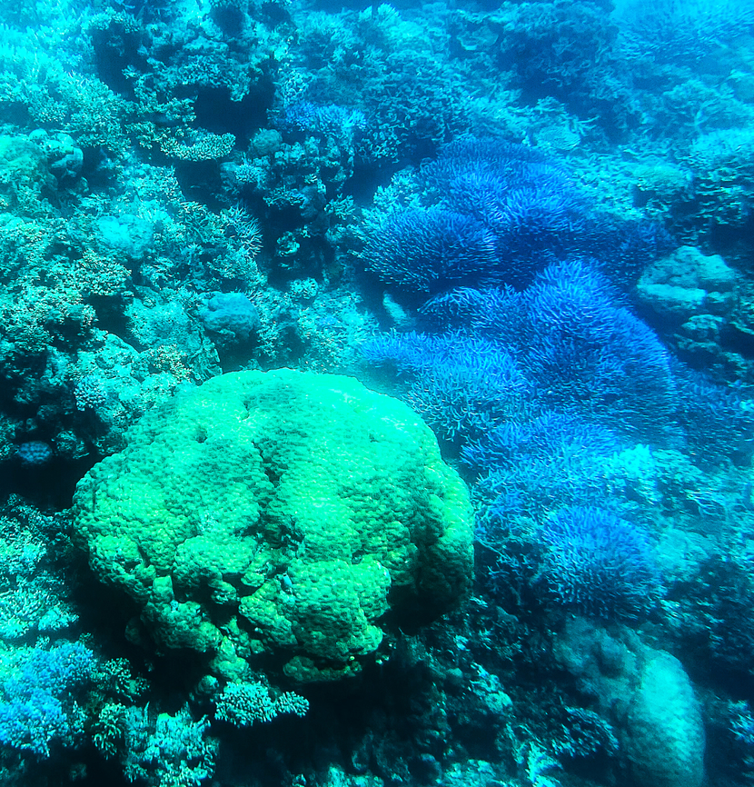 At Agincourt Reef  Australia,Fall,Geotagged