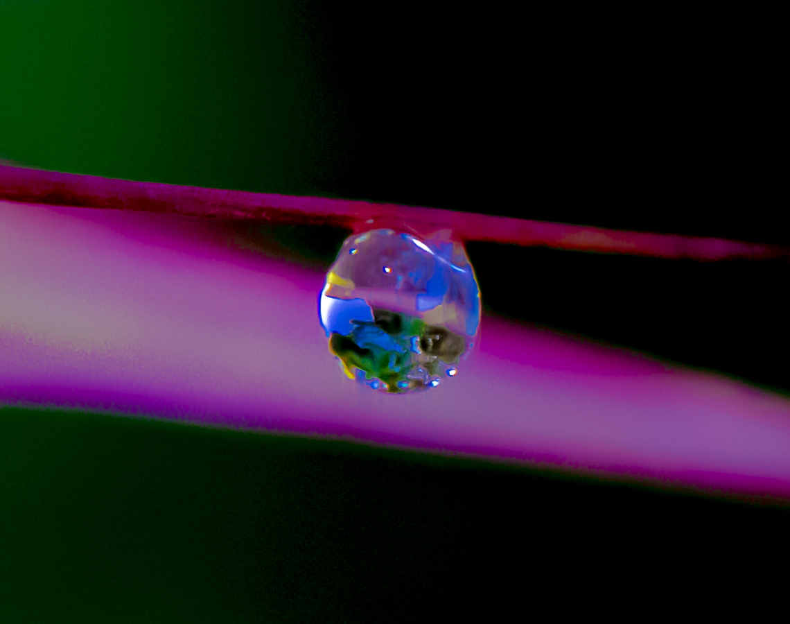 The Essence of Life  Australia,Fall,Geotagged