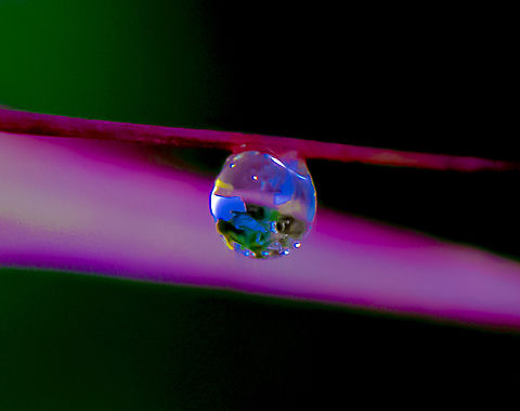 The Essence of Life  Australia,Fall,Geotagged