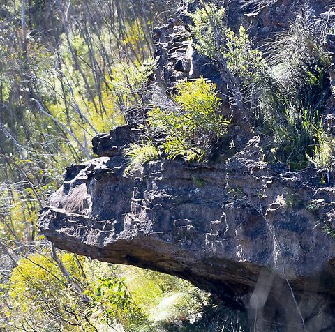 'Neanderthal' Rock Face  Australia,Fall,Geotagged