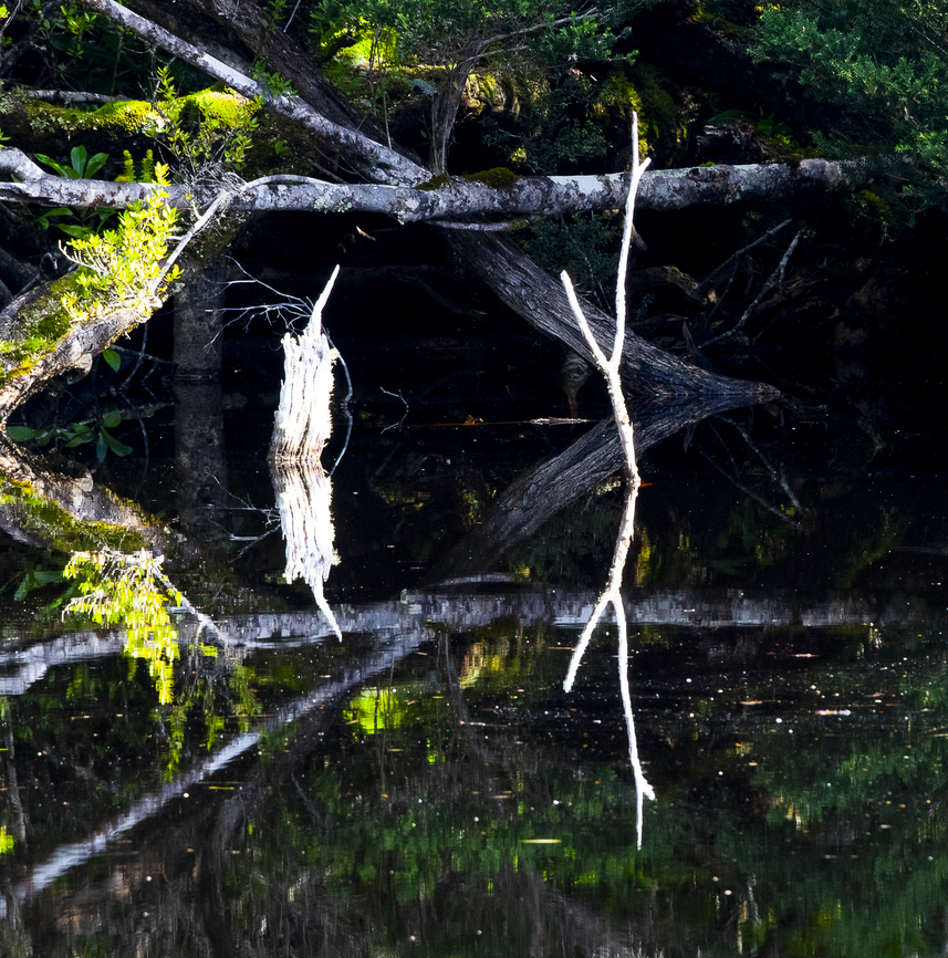 Duck hole lake reflection  Australia,Geotagged,Winter