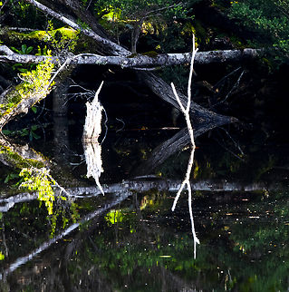 Duck hole lake reflection  Australia,Geotagged,Winter