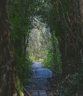 Duckhole Lake Walk  Australia,Geotagged,Winter
