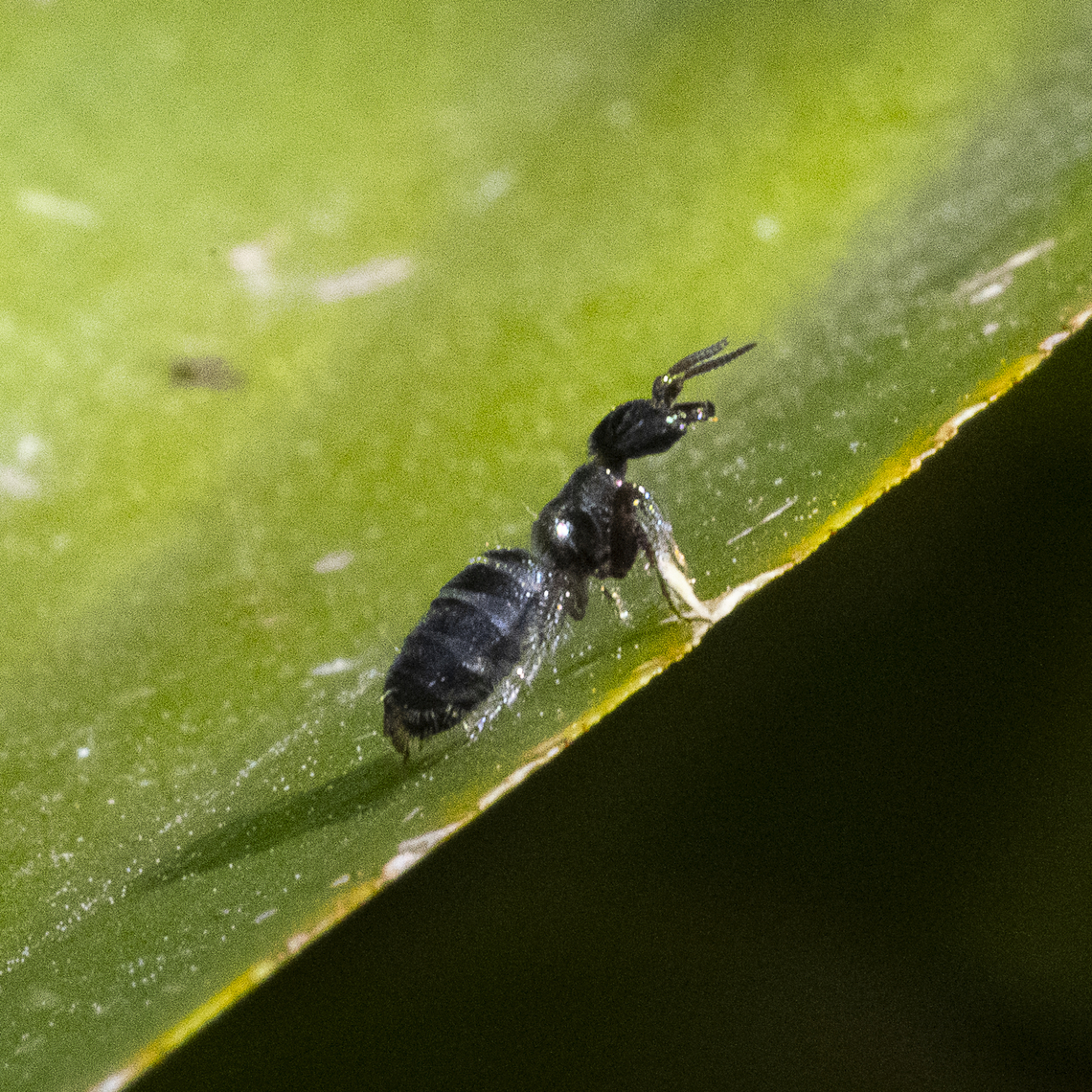 Transition I&#039;ve deskilled myself in my absence! Australia,Geotagged,Winter