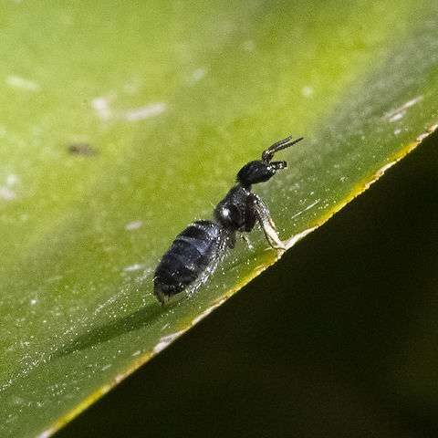 Transition I've deskilled myself in my absence! Australia,Geotagged,Winter