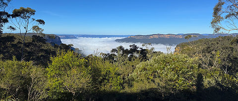 Valley of the Waters This early morning's view along the Valley of the Waters confirms that the Blue Mountains are really the Blue Tablelands Australia,Fall,Geotagged