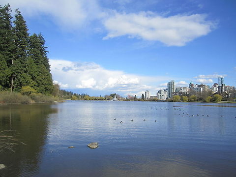 Lost Lagoon, Vancouver Wonderful classic landscape view of the Lost Lagoon, including the river, trees, city skyline and a bright blue sky. Lagoon,Vancouver