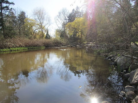 Duck Pond without Ducks A pond where you would expect ducks seemingly abandoned at this time of day. Pond