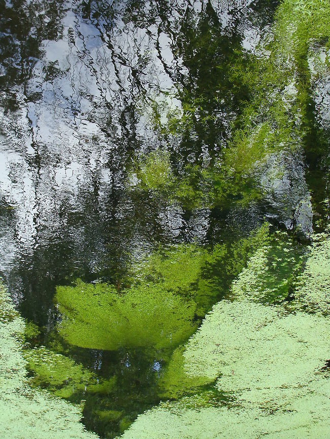 Hudson Valley Creek Capture of the Hudson Valley creek. Hudson Valley Creek