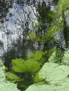 Hudson Valley Creek Capture of the Hudson Valley creek. Hudson Valley Creek