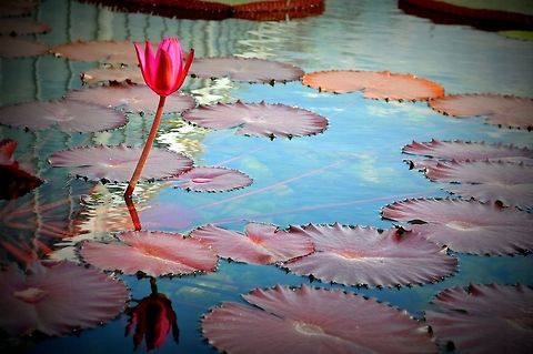 Water Love  Geotagged,United States