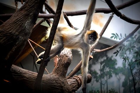 Hey Look at Me  Geotagged,United States