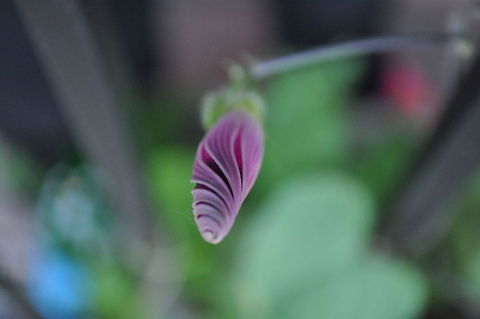 Morning Spirals  Geotagged,United States