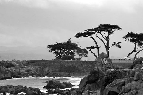 California Coastline By the ocean in California. We were there for a conference and were able to take some photos along the way. California,ocean,trees