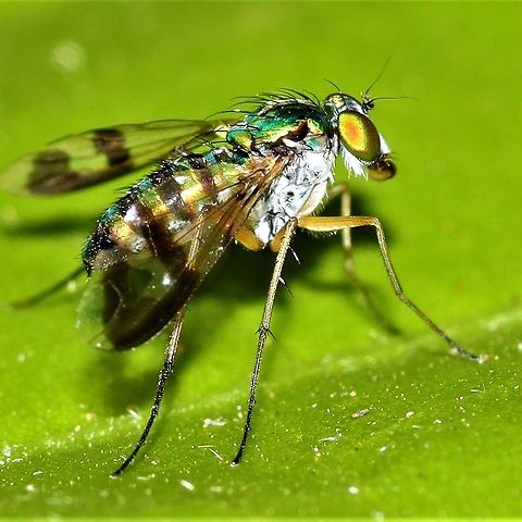 IMG_20201130_171541_821  Australia,Geotagged