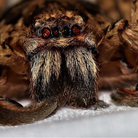 IMG_20201126_194011_715  Australia,Geotagged