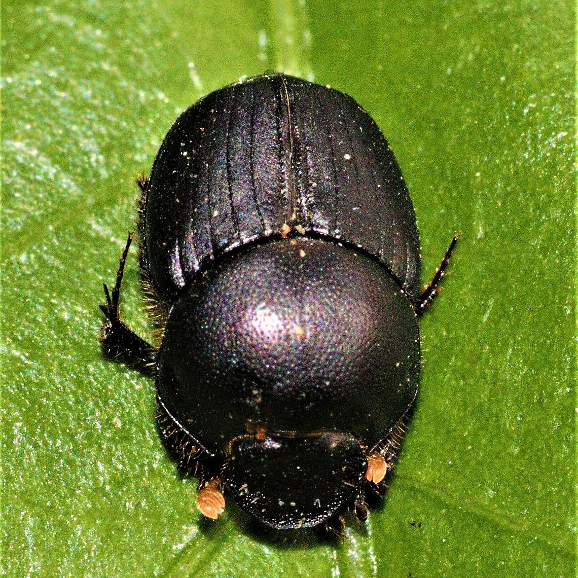 IMG_20201124_175424_829