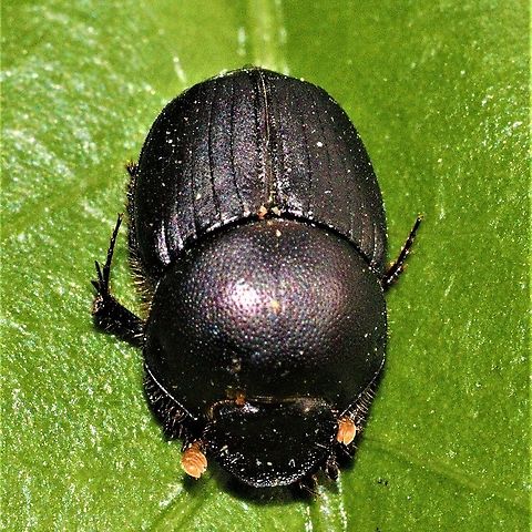 IMG_20201124_175424_829