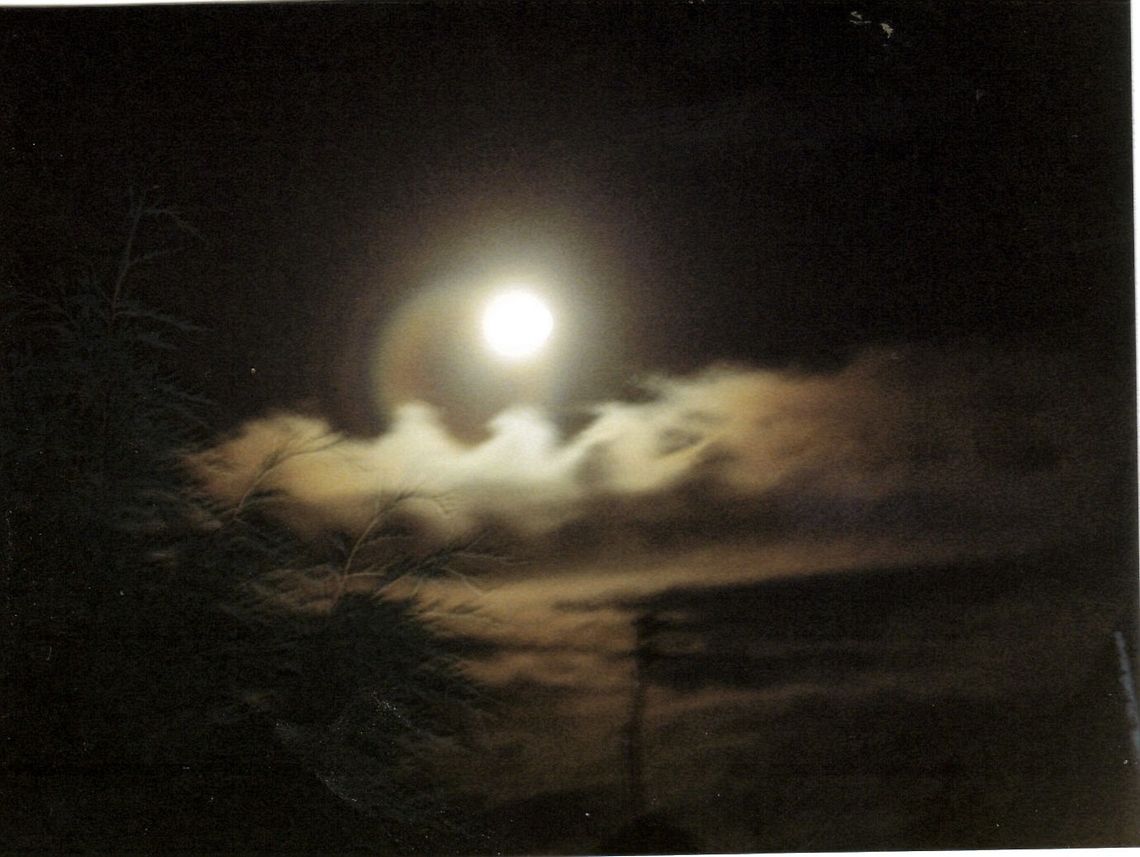 night time  moon