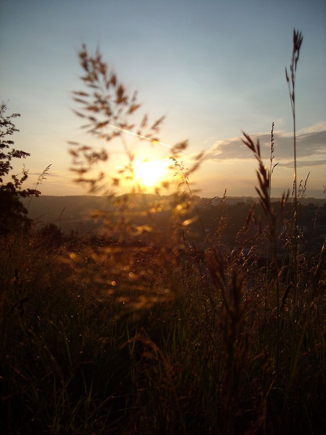 lkjh_038  sunset