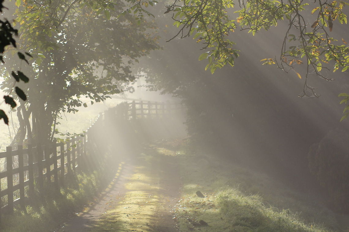 IMG_0123  fog