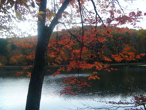 2009 fayette county  lake