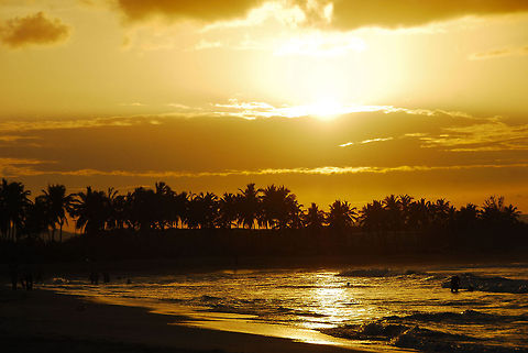 phtos-678  Dominican Republic,Geotagged,beach palm trees,sunset