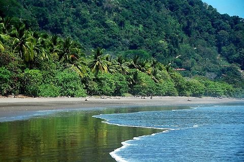 Dominical. Costa Rica.  Costa Rica,Geotagged,beach,palm trees