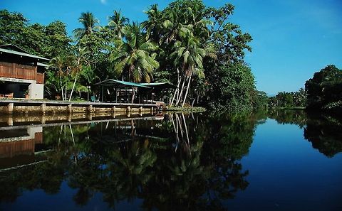 River in Costa Rica  Costa Rica,Geotagged,highlights,palm trees,river