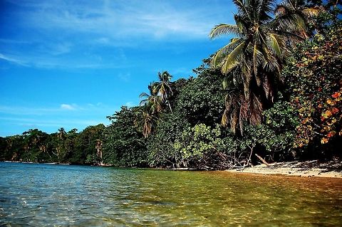 DSC_6046  Costa,Costa Rica,Geotagged,beach,palm trees