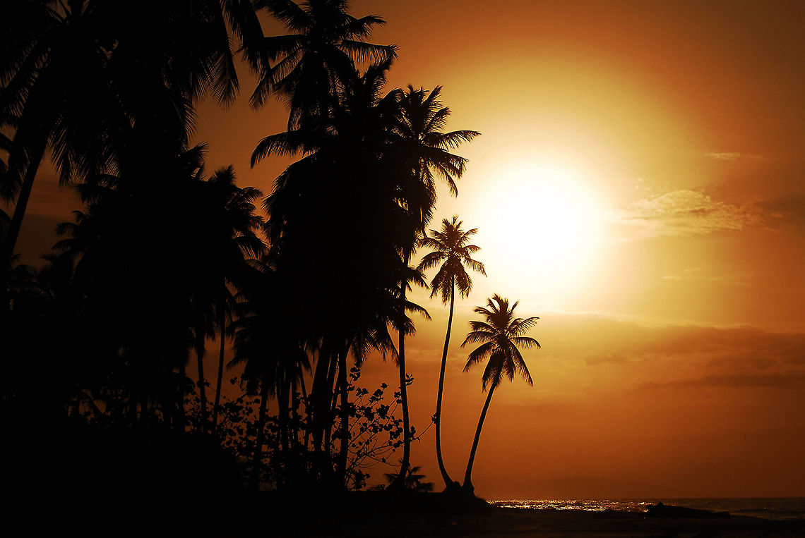 Sunset in Dominican Republic  Dominican Republic,Geotagged,beach,palm trees,sun,sunset