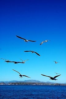 DSC_3866  Costa Rica,Geotagged,ocean,sky