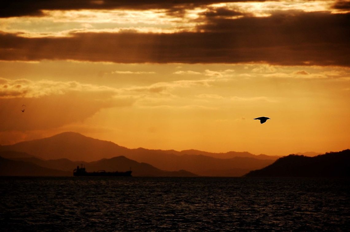 Costa rica.  Costa Rica,Geotagged,bird,mountains,sunset