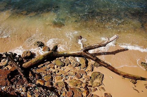 Trunk.  Dominican Republic,Geotagged,trunk