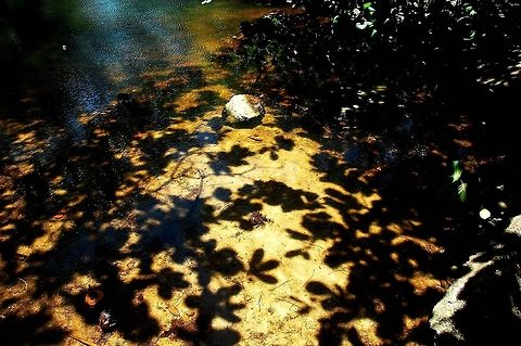Shadows.  Costa Rica,Geotagged,Shadows
