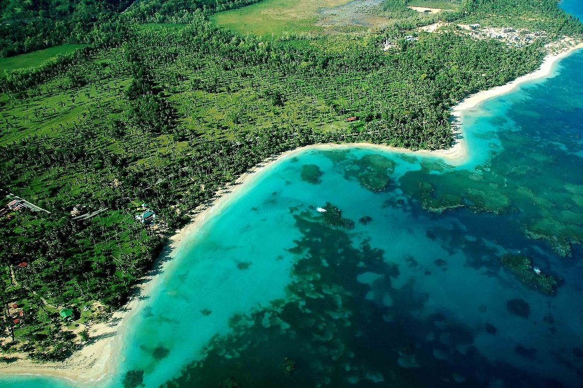 Amazing landscape in Dominican Republic  Dominican Republic,Geotagged,blue sea,ocean,palm trees