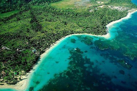 Amazing landscape in Dominican Republic  Dominican Republic,Geotagged,blue sea,ocean,palm trees
