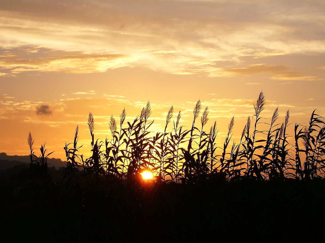 P1020059  Geotagged,Spain