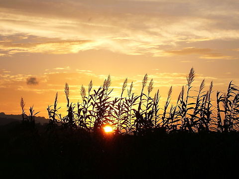 P1020059  Geotagged,Spain