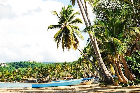 Boats. Playa Las Terrenas. Dominican Republic.  Coconut palm,Cocos nucifera,Dominican Republic,Geotagged