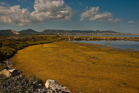Les Salines. Ibiza.  Geotagged,Spain
